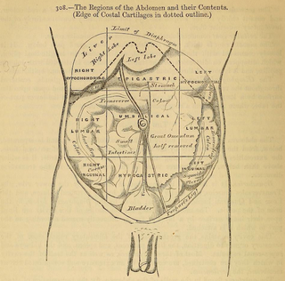 Illustration for article titled A Brief History of the Body Told Through 10 Eye-Popping Drawings